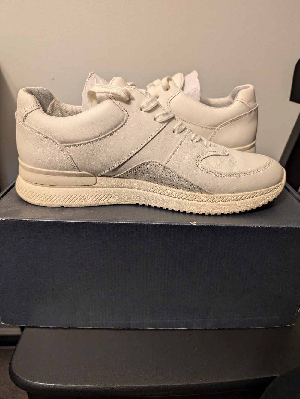Everlane The Trainer Sneakers